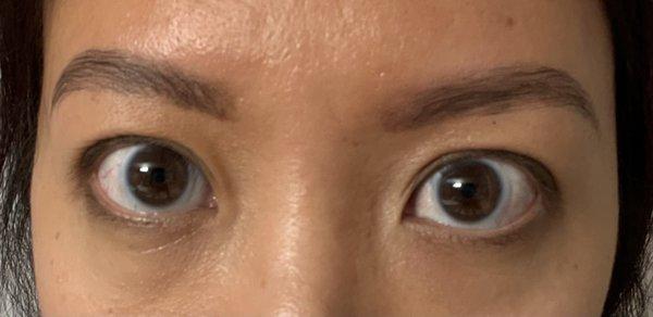 After - BROWS! A couple hours after wax, tint and lamination. No makeup on eyebrows.