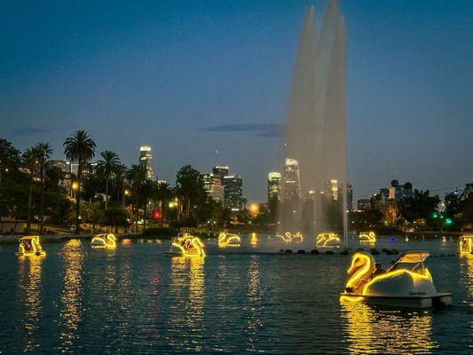 lit up duck boats in Echo Park Lake