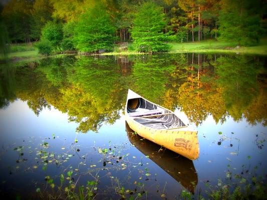 Lake Taneycomo Boat and Canoe Rental