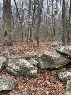 Old stone walls in Whitely Preserve trail