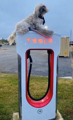 Monroe, Louisiana. Tesla Superchargers