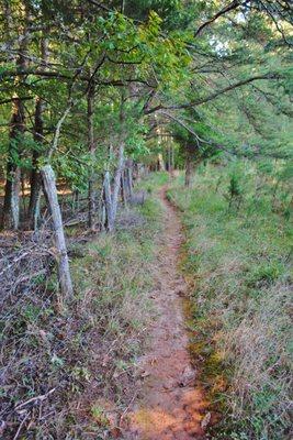 Walking the Trail, 2016