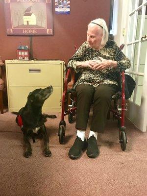 One of our beloved clients with Oakley, our therapy dog.