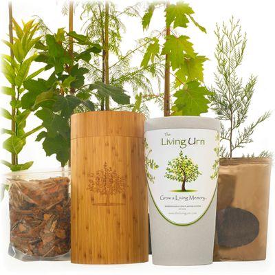 The Living Urn for those wanting to return to nature.