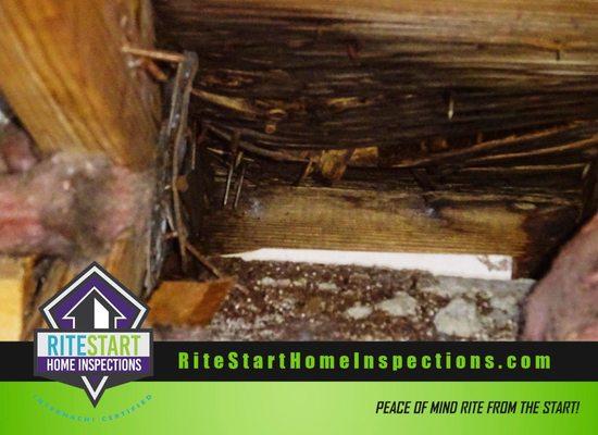 RiteStart Home Inspections. Services.