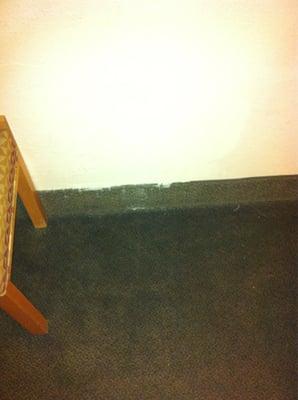 Mildew and stains running down the wall onto carpet