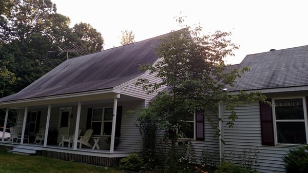 Black streaks on your roof?