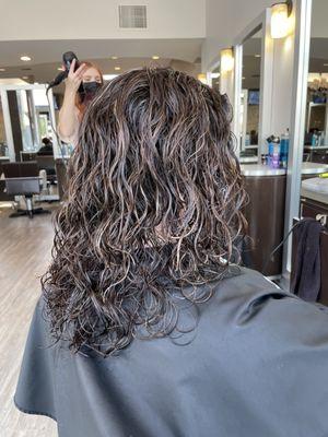 Frizzles Salon & Spa