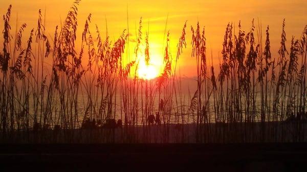 Beautiful Madeira Beach Sunset