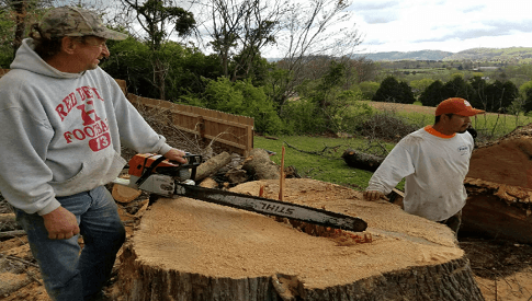 Tree Service