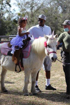 Pretty Party Ponies