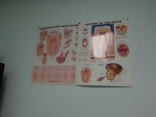 One of the many pictures in 1 of 3 examination rooms