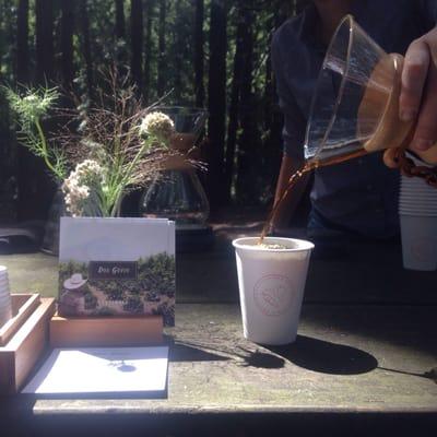 Chemex coffee service in a redwood grove.