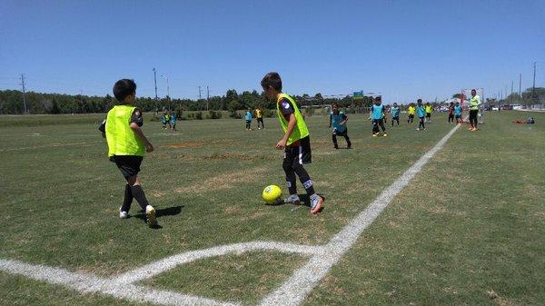 U9 soccer teams