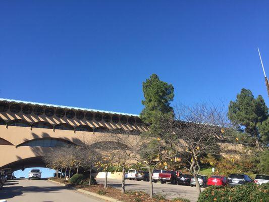 View of Marin Civic Center from Marin Bail Bonds Office !