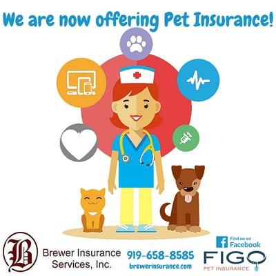 We are now offering Pet Insurance!!