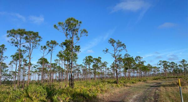 Estero Bay Preserve State Park