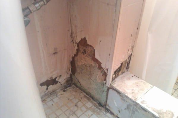 nasty wall in bathroom