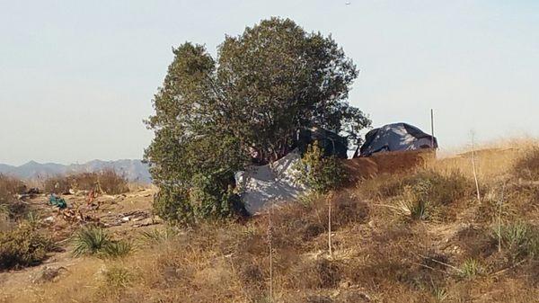 The homeless encampment growing at a face pace, since no one has done anything about it, they have more people now.