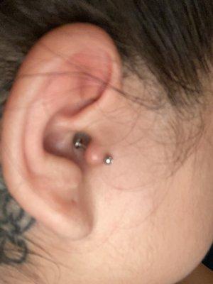 Second jewelry. (Correct) Tragus should be done with a straight bar.