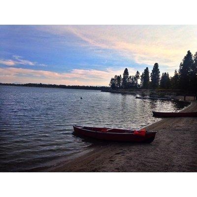 The shore of the lake in the summertime.