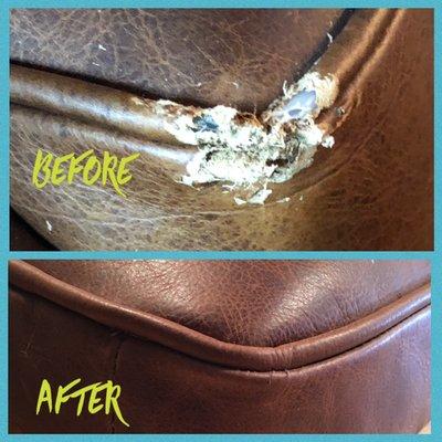 Pet damage in leather cushion