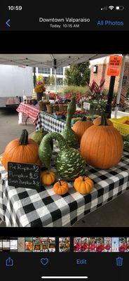 October bigger pumpkins and squash