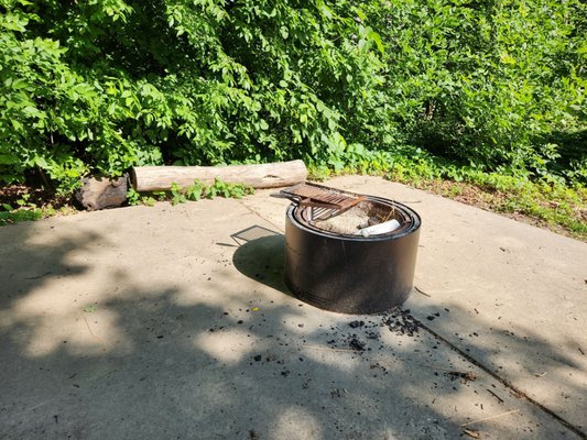 Above ground fire pit at cabin 26. Also pictured is log surrounded by poison ivy