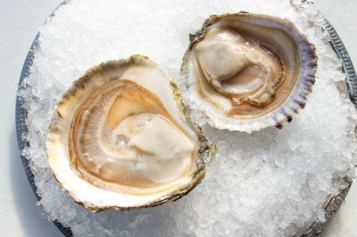 Belon oysters - there's nothing quite like them!