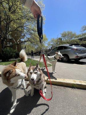 There's nothing but love in all of our group walks.