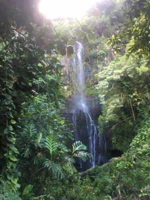 Hawaiian waterfall