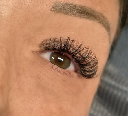 Lash Extensions