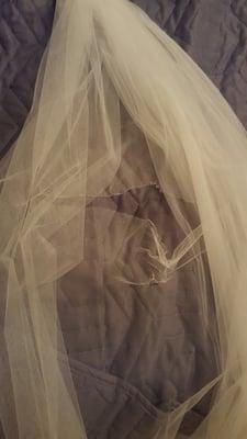 My destroyed wedding veil.