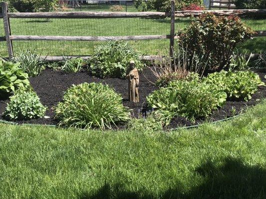 Mulch around St. Francis statue