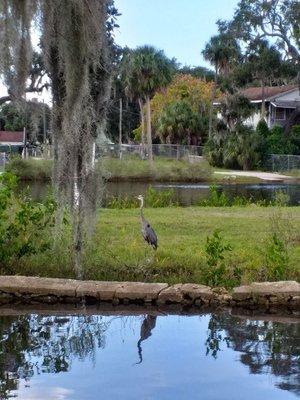 Located on the beautiful Cotee River in Port Richey...