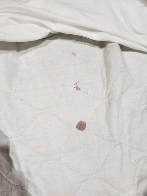 Blood on my comforter