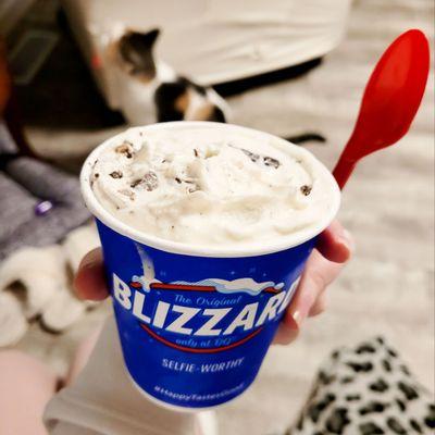 Oreo Blizzard