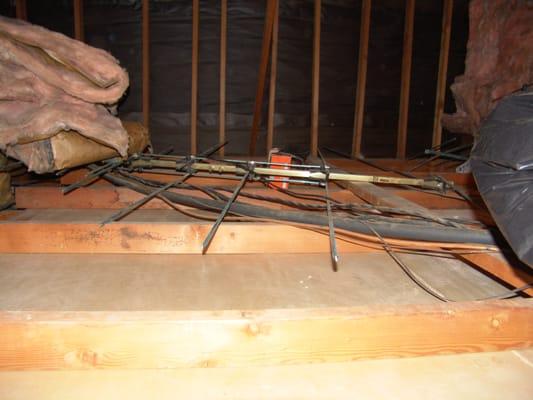 Batt Insulation Removal Job 1 - During Insulation Removal and Attic Cleanup