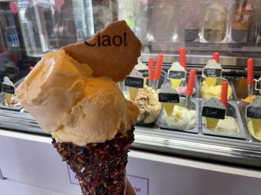 Gelato on a chocolate dipped cone with sprinkles