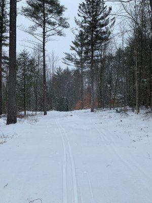 XC ski trail