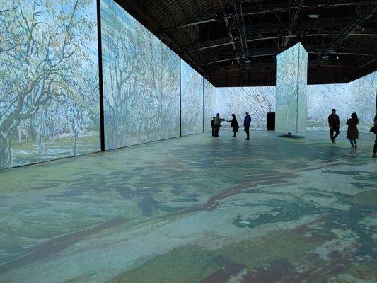 Van Gogh immersive