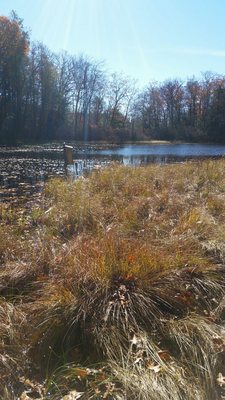 Morey Pond