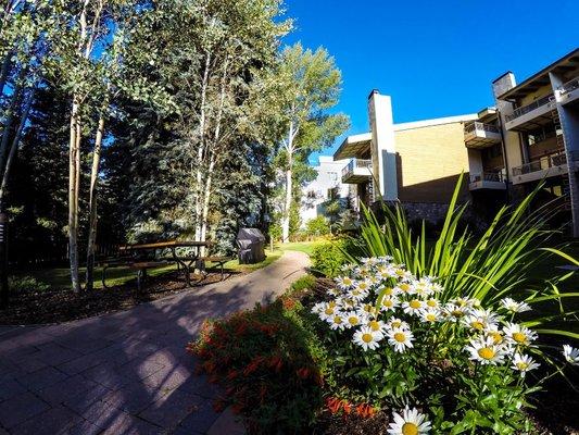 Landscaped backyard along Gore Creek with public grill and picnic tables