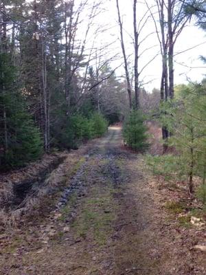 Bring your boots. This is a marshy area.