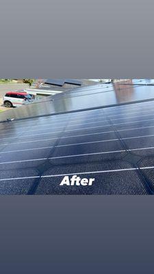 Clean Panels in Costa Mesa