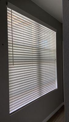 Window Blinds