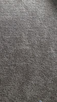 Carpet in our Master Bedroom. Its soft, fluffy, and feels great on my toes