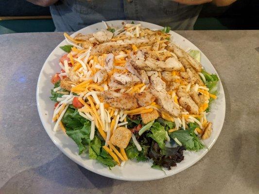 Grilled chicken salad