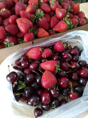 $6 worth of delicious red cherries with some strawberry stowaways.