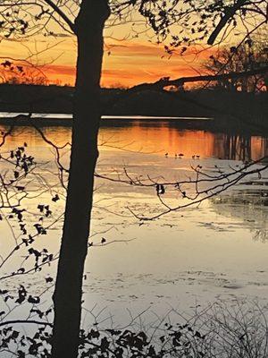 Ice on the lake sunset